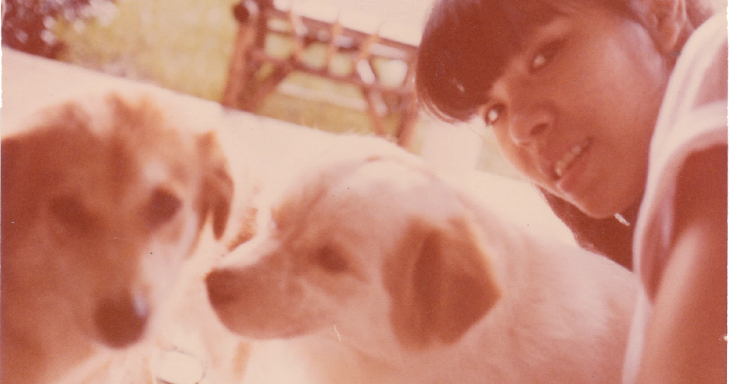 Asia Art Archive spring 2026 highlights visual