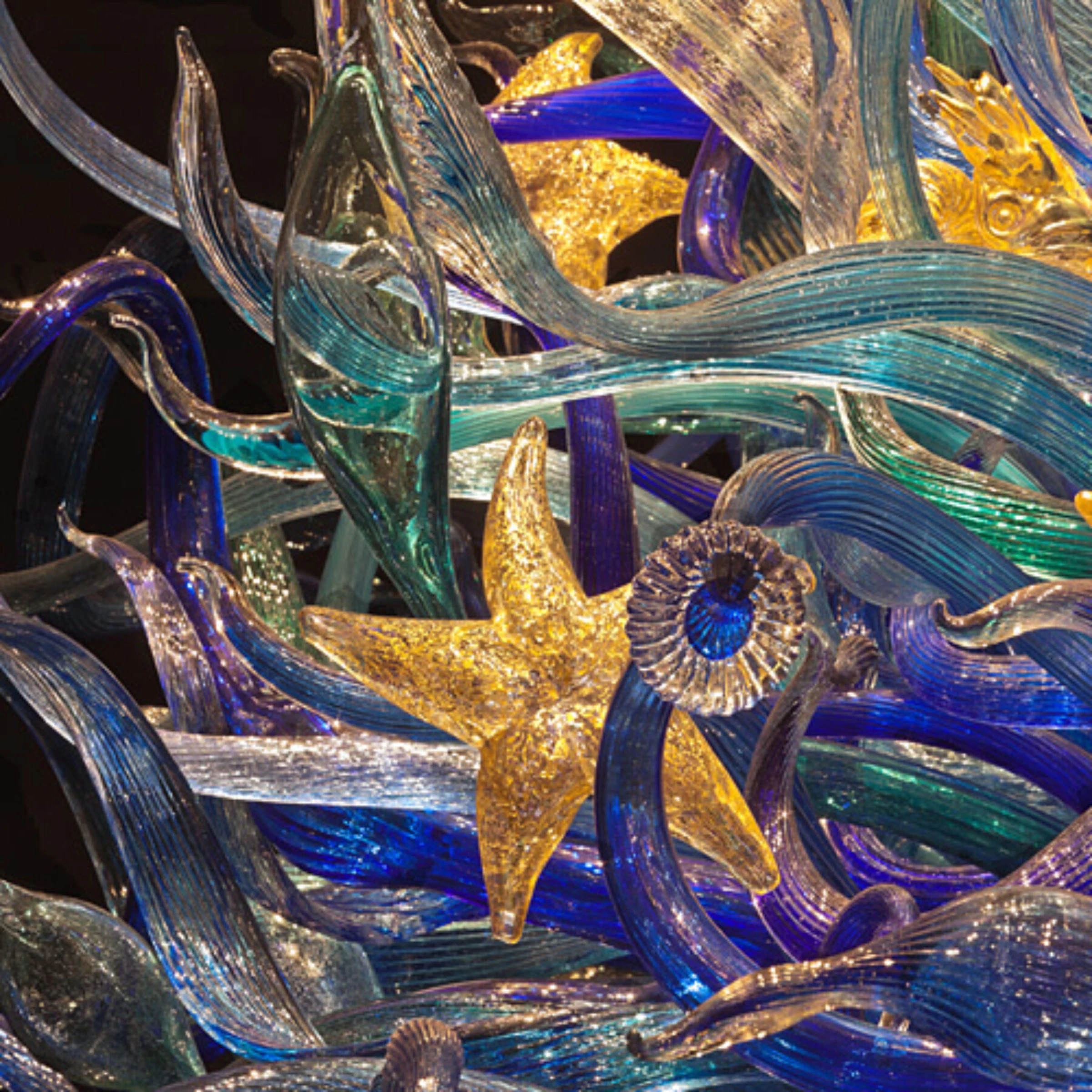A dense installation of multicolored blown glass forms in the Sealife Room at Chihuly Garden and Glass.