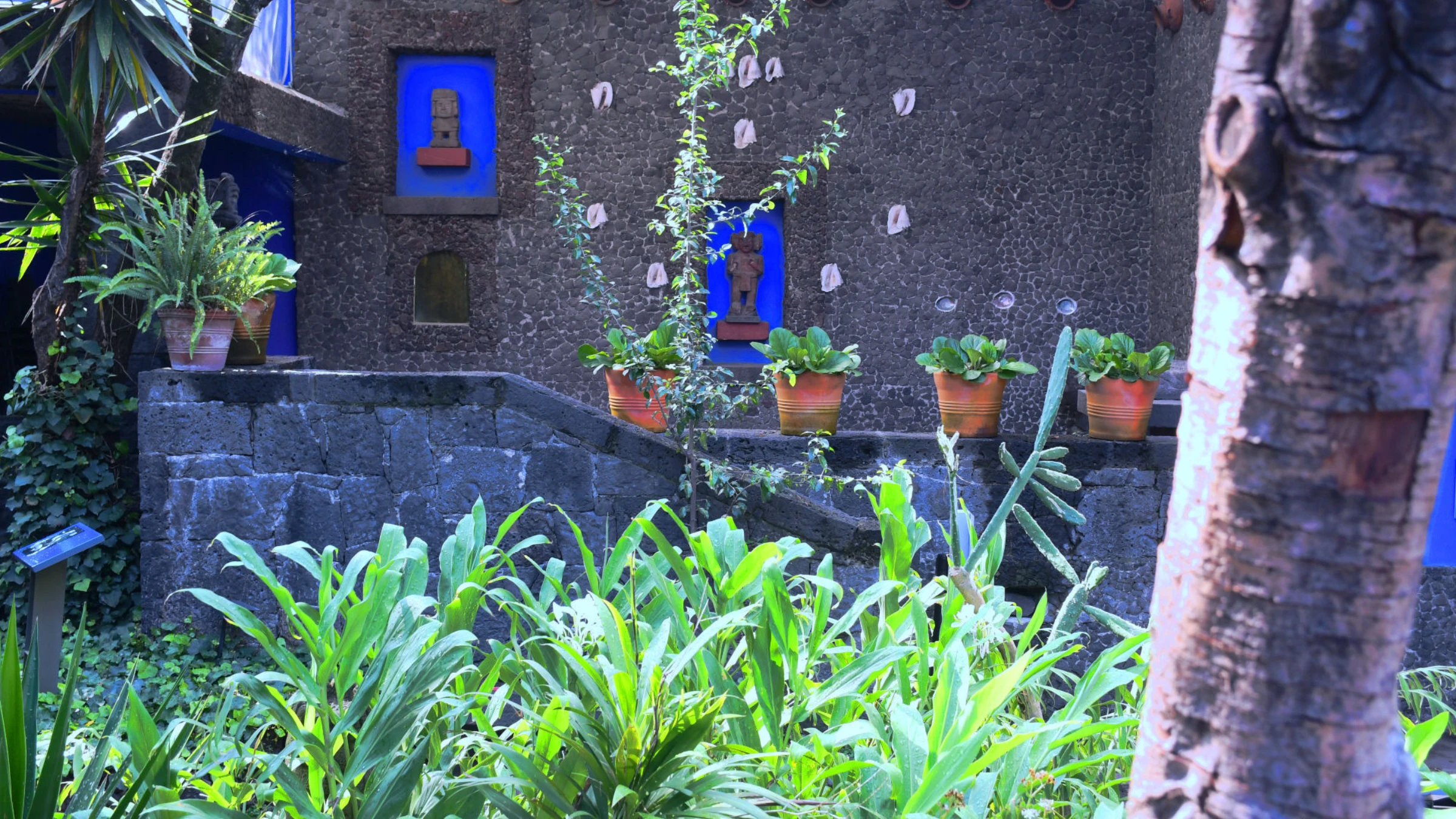 Exterior of the Frida Kahlo Museum, known as Casa Azul, in Coyoacán, Mexico City.