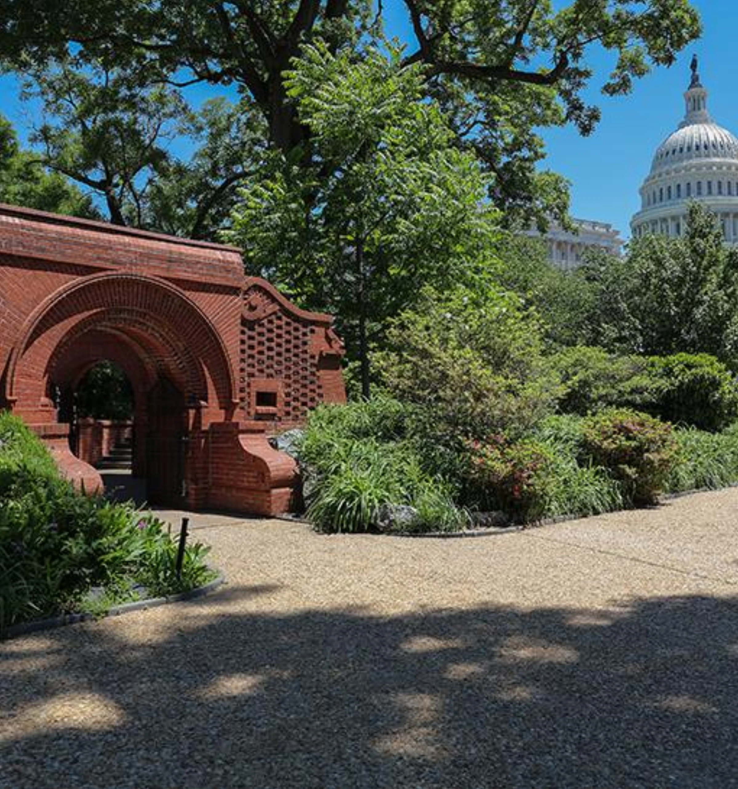 Ground-level view of the US Capitol grounds and lawn in Washington, DC