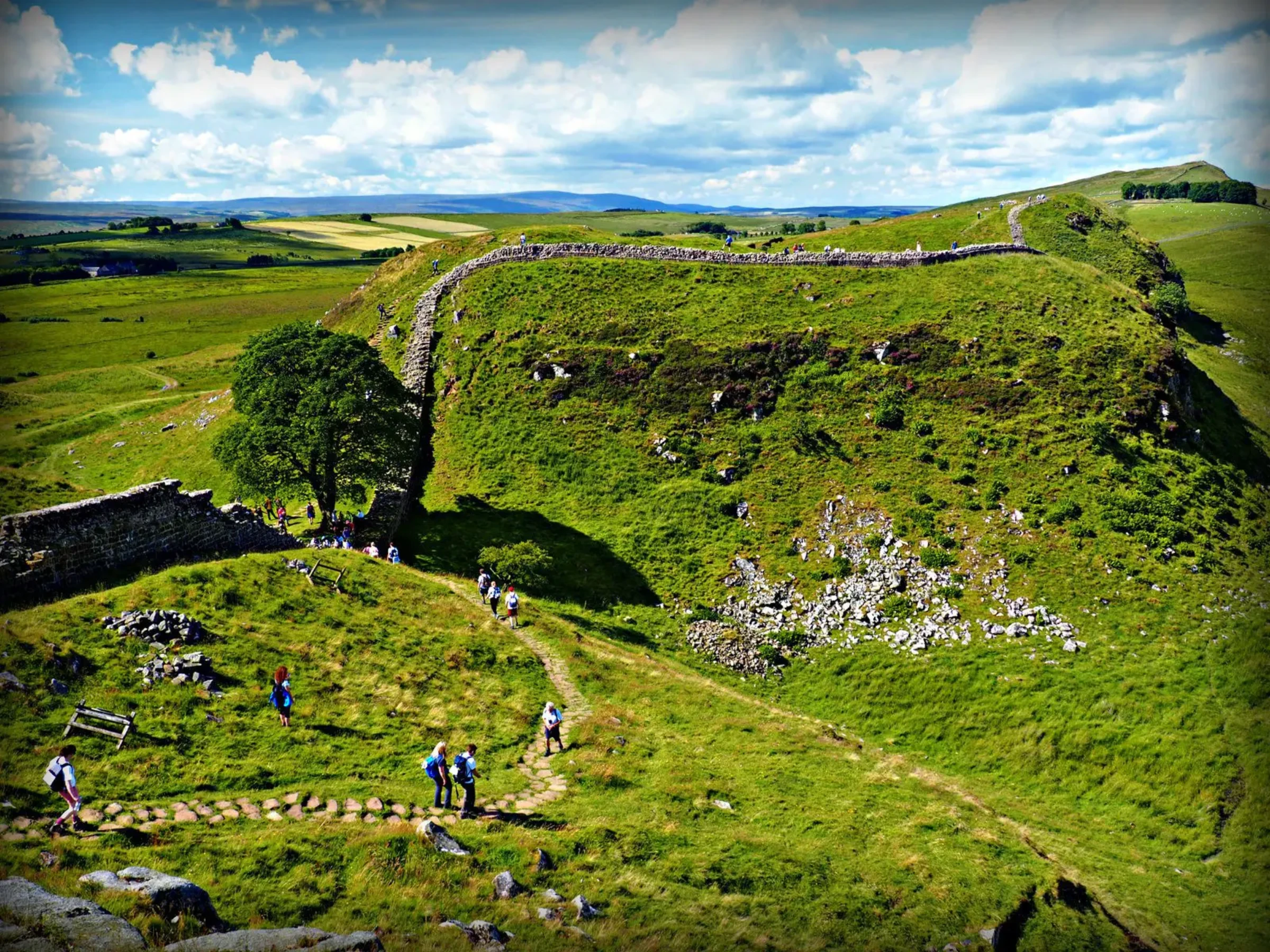 The Sycamore Gap site in Northumberland, where new shoots have emerged after the 2023 felling